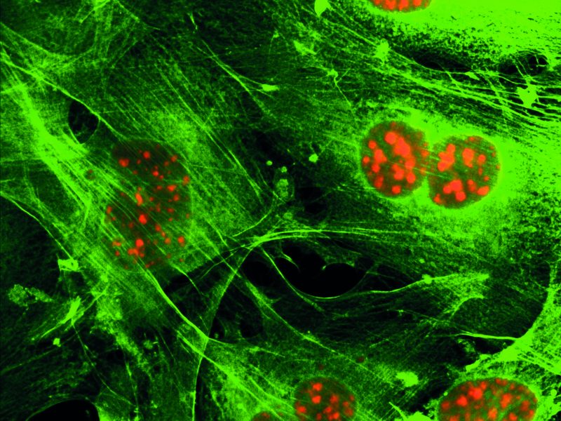 Microscopic view of a virus